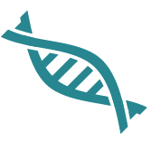 قسم المختبرات